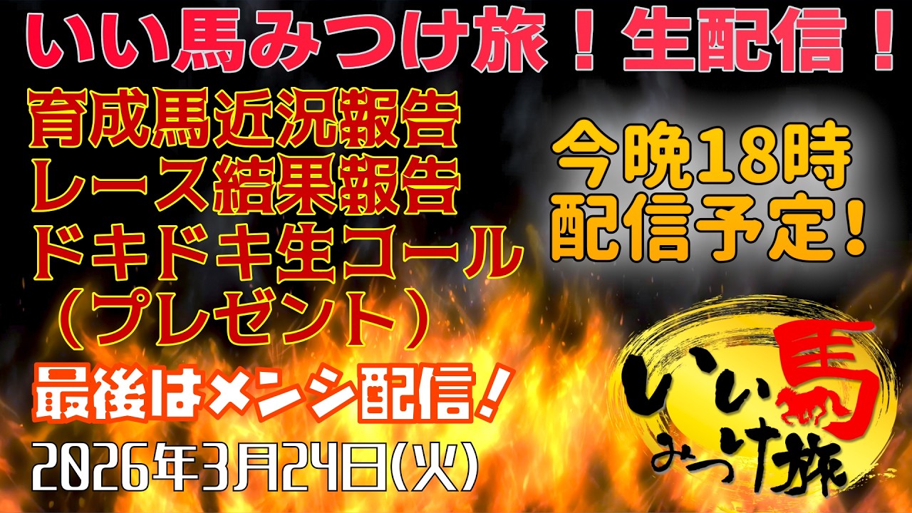 【馬主・競馬】購入馬紹介❗️レース結果報告❗️ドキドキ生コール❗️最後はメンシ配信❗️