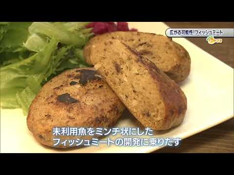 2023年12月16日(土)放送 「広がる可能性！フィッシュミート」
