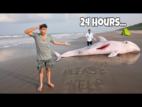 Living 24 hours on beach challenge