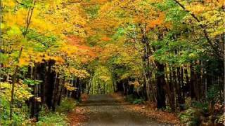 Laurie Lewis - Who Will Watch the Home Place?