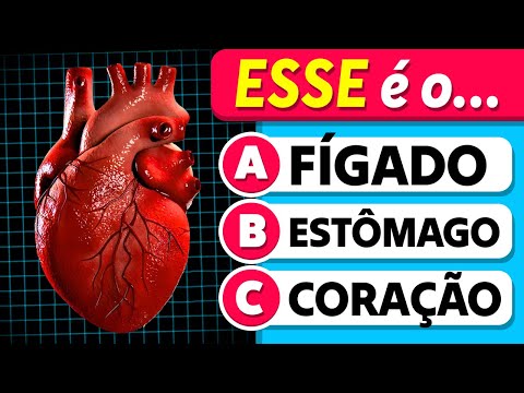 🧠 Quanto Você Sabe sobre o CORPO HUMANO? | Partes do Corpo Humano 🧍🧬🦴 | Quiz de Conhecimentos Gerais