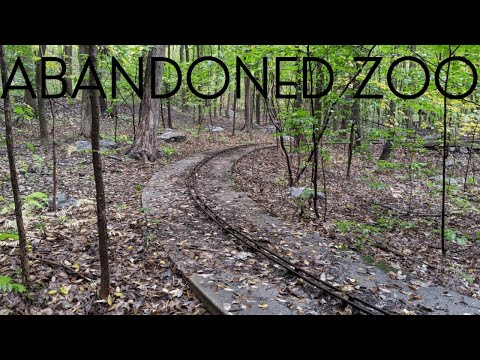 Jungle Habitat West Milford: exploring the abandoned Warner Bros. safari park