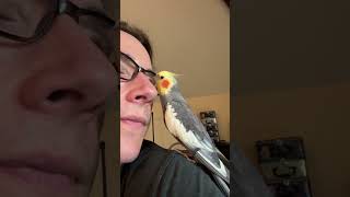Download lagu Sweet Kona 💚 #konacam #iloveyou #friendship #animalvideos #thankfulness #parrotlife #cockatiel mp3 Download lagu Sweet Kona 💚 #konacam #iloveyou #friendship #animalvideos #thankfulness #parrotlife #cockatiel mp3