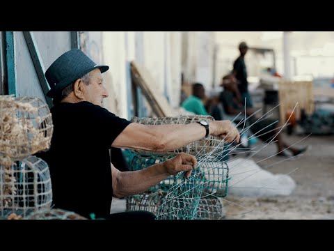 Armadilha Tradicional Artesanal para Peixe | Olhão, Portugal | Murejona