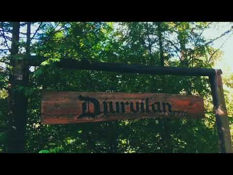 DJURKYRKOGÅRDEN i Ronneby