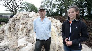 Shropshire farmer uses sheep fleeces for compost due to low cost of wool
