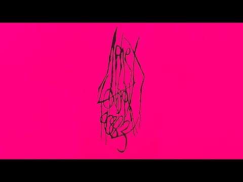 Aphex Twin - Field Day London 19-08-23 - Vinyl Rip #vinylrecords - Hi Res Audio