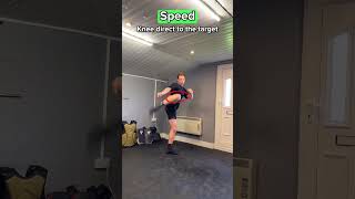 Lead Roundhouse Kick demonstration thumbnail