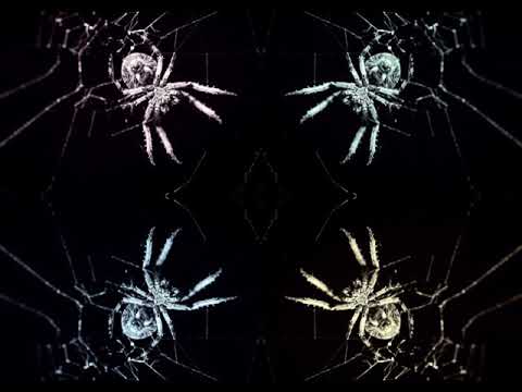 Denshi-Danshi - Mangora