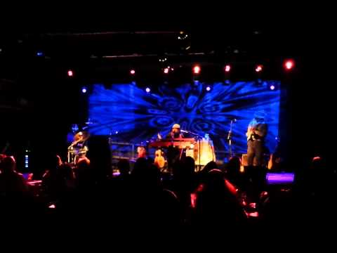 Nicholas David - What's Going On (Live)