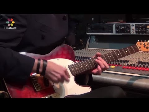 Parshat Shmini: Soul Food - Rabbi Yaakov Asher Sinclair