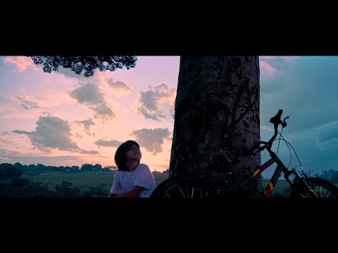 Claro Que O Sol - Zimbra