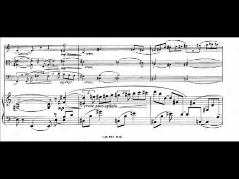 Catoire - Piano Quartet Op.31 (I)