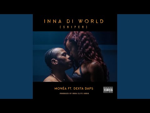 Inna Di World (Sniper) (Remix)