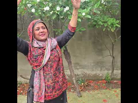 Helena Jahangir khamar beautiful trees and beautiful flowers