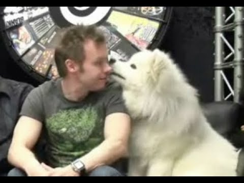 The real star of the Wizard Magic Review - Blammo