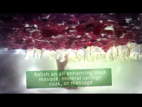 Massage and Spa video After Effects Template & Project