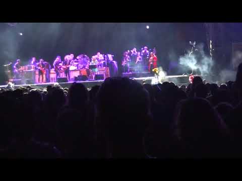 Tedeschi Trucks Band, Lockn 2019