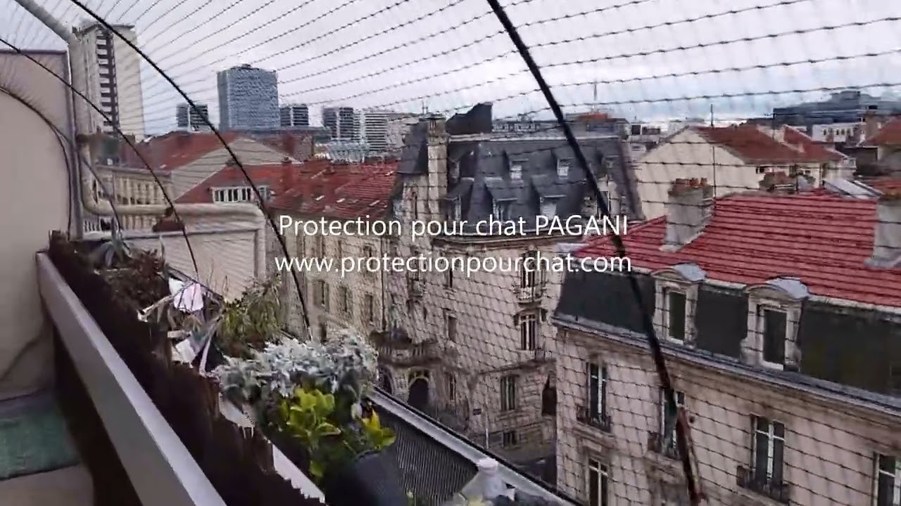 Filet pour chat anti chute pour le balcon