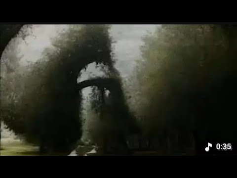 XXL XXL XXL XXL FREESTYLE 2024 |XXL 2024 | Xxwd5000xa | XXL XXL XXL XXL FREESTYLE