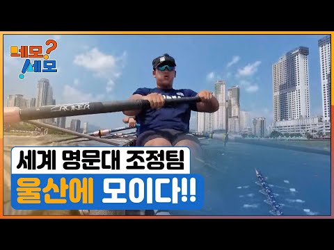 [네모세모] 세계 명문대 조정팀 울산에 모이다