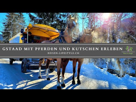 Schweiz/Switzerland - Gstaad mit Pferden und Wagen entdecken - reisen-lifestyle.ch