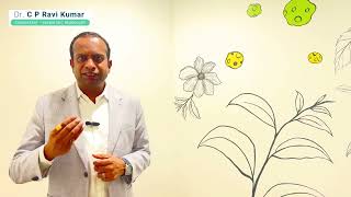 రిస్పెరిడోన్: చిన్న మాత్ర, పెద్ద మార్పు  #epilepsyawareness