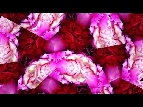 Let Them Bloom - Kaleidoscope Loop / Footage in 1080p