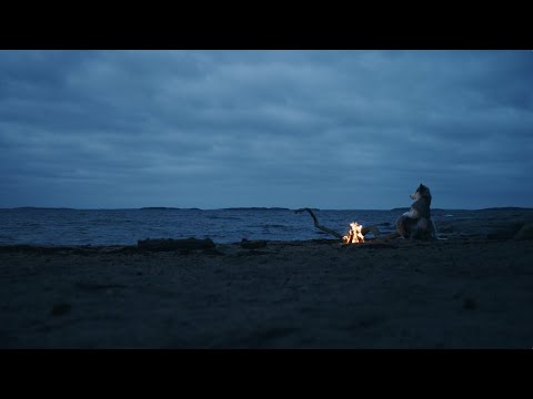 flying or falling - Be Here Soon e06/10