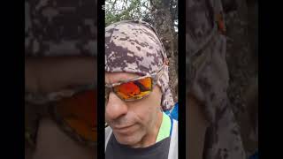 Ελάφι Πάρνηθας 2024