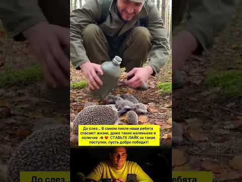 ДО СЛЁЗ! ВОЕННЫЕ СПАСЛИ СЕМЬЮ ЕЖЕЙ ОТ ГОЛОДА!