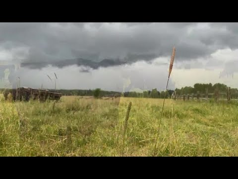 'Completely foreign to us': Iron Range farmer fears drought conditions