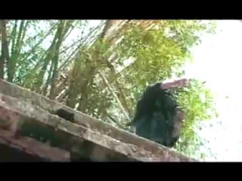 Isiah Mentor   Fight Fight Fight