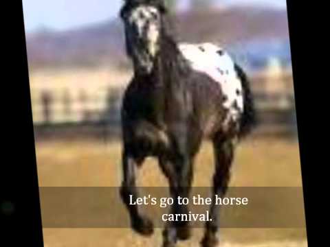Horse Carnival (Indian Trail Mix)