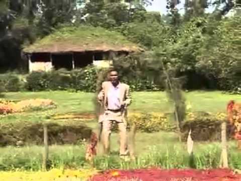 Melaku Chalchisa - Foollen Dufttee (Oromo Music)