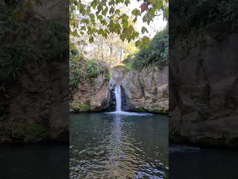 la Poza El Salto en  San Antonio Tepetlán Veracruz es muy bonita y con buenos resultados