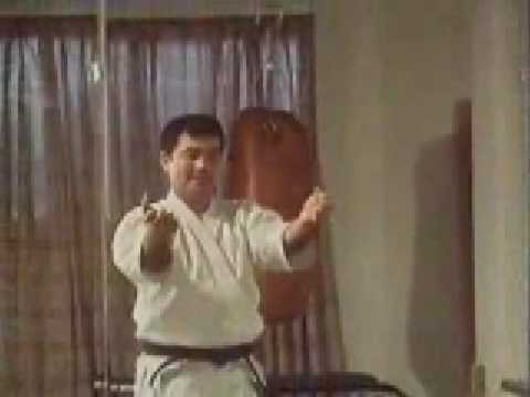 Way of the Warrior Karate (www.sportsacademy.tv)