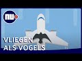 Waarom vliegtuigen mogelijk net als vogels in formatie gaan vliegen | NU.nl