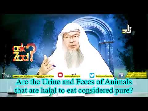 What kind of Animal's Urine & Feces is Pure and ... - YouTube