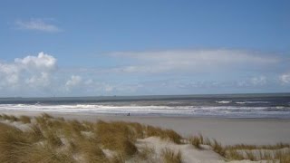 The Cats -  One Way Wind (Lyrics)