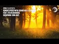 VOCAL TRANCE CLASSICS: Ronski Speed with Stoneface & Terminal ft. Sylvia Brandse - Drowning Sunlight
