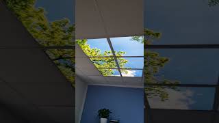 Dekorativní LED svítidlo - LED panel ORTUS - motiv stromy - sada 6 panelů