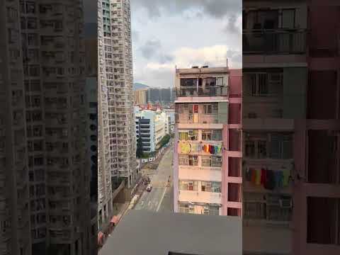 启岸 Youtube Video