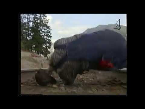 Atomic train - Tucker's death (1999)