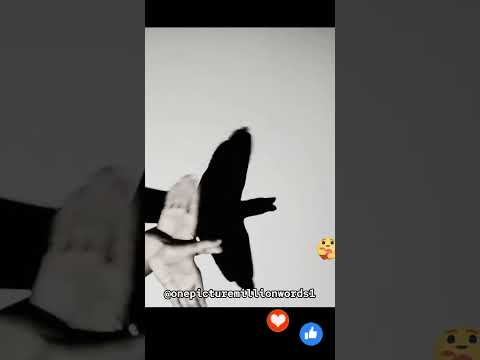 Shadow Puppet Hand Shadoes #onepicturemillionwords #shorts #ytshorts #viralshorts #inspiration