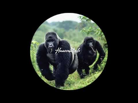 Hugo Mari - Kokiri Forest