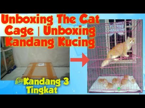 Unboxing The Cat Cage | Unboxing Kandang Kucing #catcage #cat #unboxing #kitten #catlover