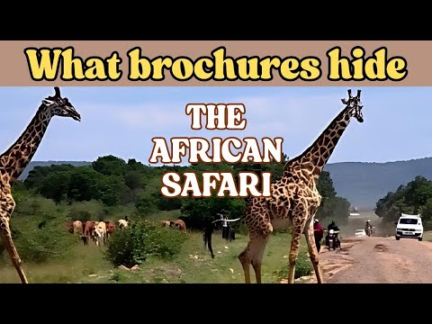 What African Safari Brochures Don't Tell You (Glamp vs Budget)