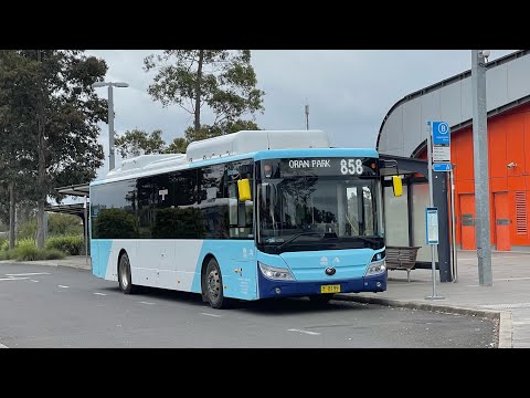 Interline Bus Services: m/o 8199 - Yutong E12 ZK6131HGE