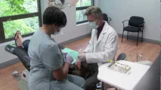 preview picture of video 'Dentist in Danbury CT | Danbury Dentists for Your Entire Family'